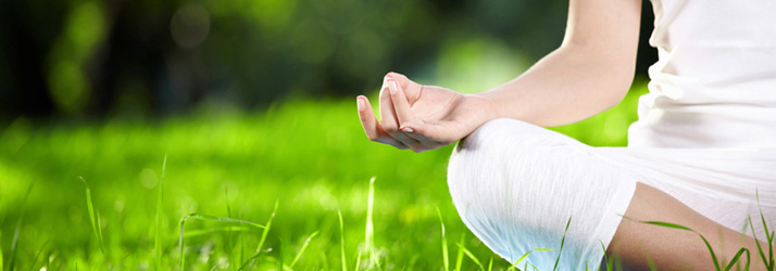Sebastopol Chiropractor Talks about Wellness Care